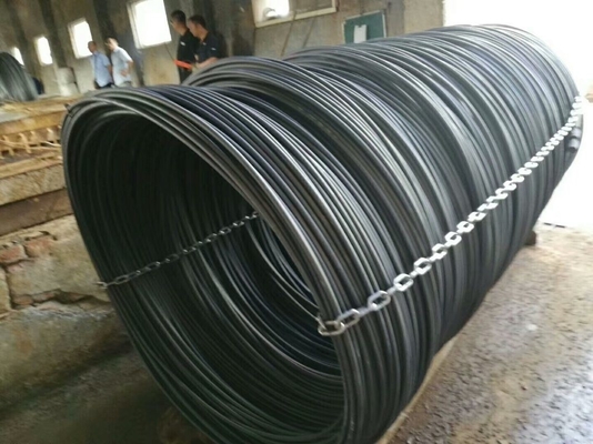 Shot Blasting Machine PMW-4350 for Round Wire Rod Customization in Screw Industry