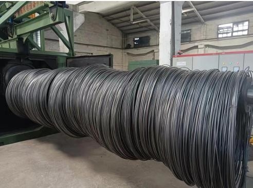 One Year After-sales Service Wire Rod Coil Shot Blasting Machine with Rotary Abrator